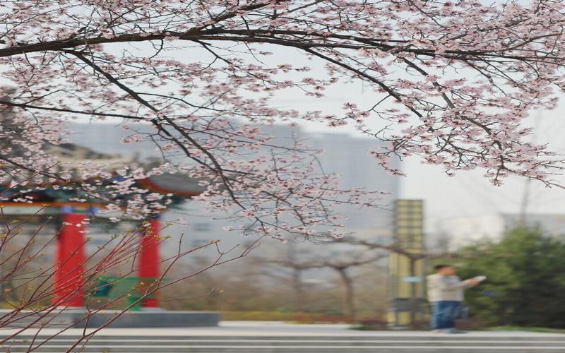 2023年西安工業(yè)大學(xué)在浙江錄取批次及錄取分?jǐn)?shù)參考