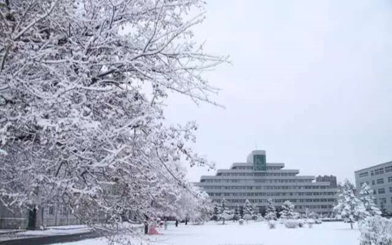 遼寧建筑職業(yè)學院現(xiàn)代物流管理專業(yè)在遼寧招生錄取分數(shù)(歷史類)：282分