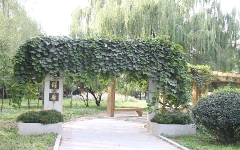 遼寧建筑職業(yè)學院供熱通風與空調(diào)工程技術專業(yè)在遼寧招生錄取分數(shù)(歷史類)：285分