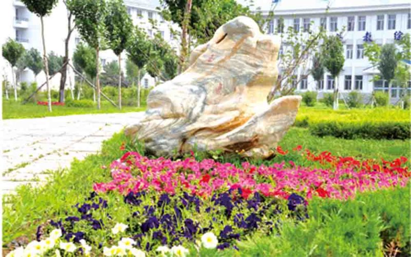 多少分可以上哈爾濱遠(yuǎn)東理工學(xué)院？哈爾濱遠(yuǎn)東理工學(xué)院2022年在天津各招生專業(yè)錄取分?jǐn)?shù)匯總