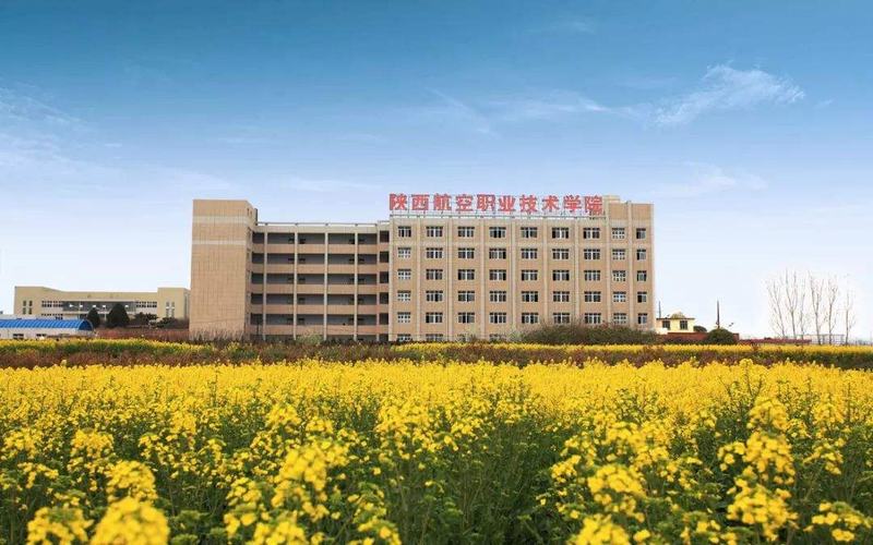 2023年陜西航空職業(yè)技術(shù)學院在寧夏招生專業(yè)及招生人數(shù)匯總(2024考生參考)