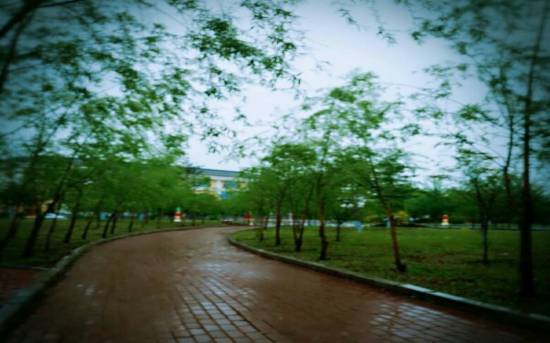 黑龍江民族職業(yè)學(xué)院學(xué)前教育專業(yè)（一 ）錄取分?jǐn)?shù)線【內(nèi)蒙古高考文科】