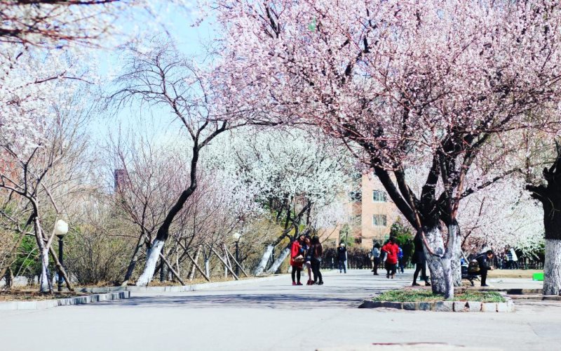 沈陽藥科大學(xué)制藥工程專業(yè)錄取分?jǐn)?shù)線【吉林高考理科】