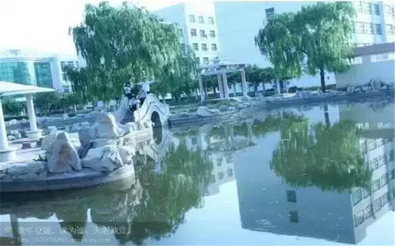 東營科技職業(yè)學(xué)院汽車制造與試驗技術(shù)專業(yè)在河北招生錄取分?jǐn)?shù)(物理類)：369分
