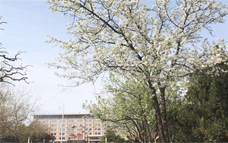 山東石油化工學(xué)院學(xué)前教育專業(yè)錄取分?jǐn)?shù)線【吉林高考文科】