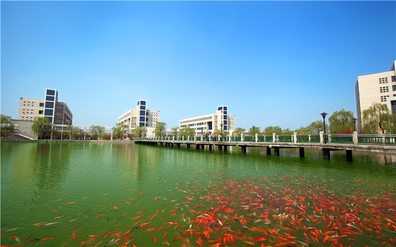 淄博職業(yè)學(xué)院中藥學(xué)專業(yè)在山東招生錄取分?jǐn)?shù)(綜合)：443分