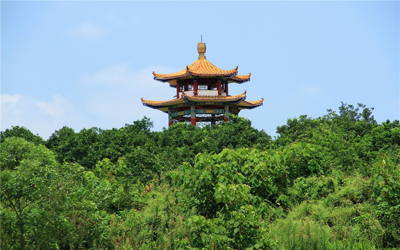 重慶工商職業(yè)學院建筑設計專業(yè)在重慶招生錄取分數(shù)(歷史類)：378分