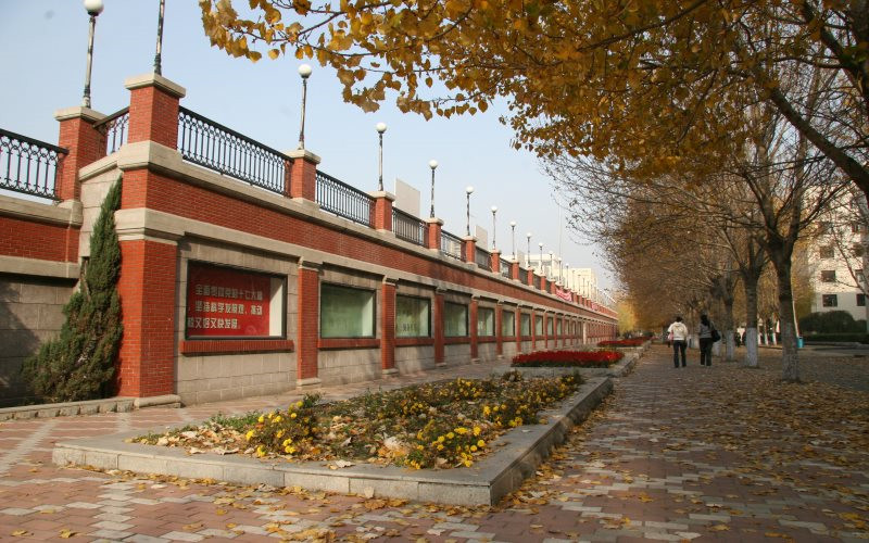 山東綜合考生排多少名可以上哈爾濱學(xué)院商務(wù)經(jīng)濟(jì)學(xué)專業(yè)?