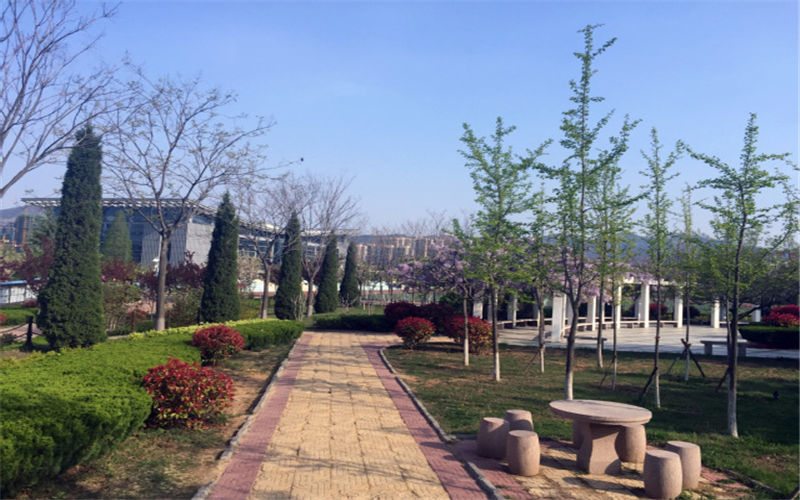 青島酒店管理職業(yè)技術(shù)學(xué)院大數(shù)據(jù)與會(huì)計(jì)專業(yè)在內(nèi)蒙古招生錄取分?jǐn)?shù)(理科)：302分