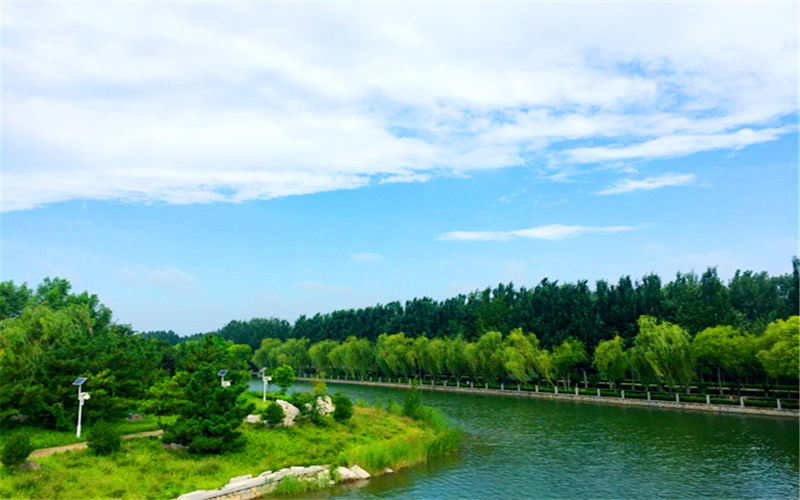 山東科技職業(yè)學(xué)院計(jì)算機(jī)網(wǎng)絡(luò)技術(shù)專(zhuān)業(yè)在山東招生錄取分?jǐn)?shù)(綜合)：273分