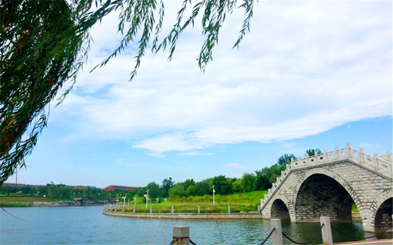 【2024河北歷史類參考】2023年山東科技職業(yè)學(xué)院各專業(yè)在河北招生分?jǐn)?shù)線匯總