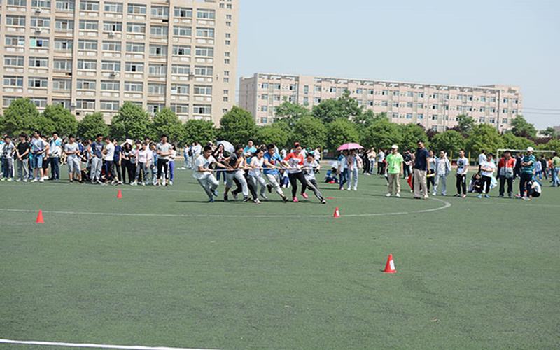 陜西科技大學(xué)鎬京學(xué)院財(cái)務(wù)管理專(zhuān)業(yè)在山東招生錄取分?jǐn)?shù)(綜合)：469分