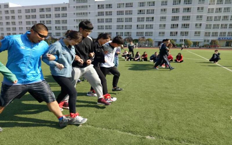 陜西科技大學鎬京學院財務管理專業(yè)在重慶招生錄取分數(shù)(物理類)：445分