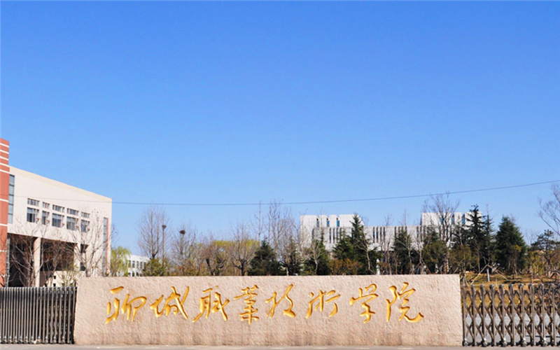 2024考生參考：2023聊城職業(yè)技術(shù)學(xué)院智慧健康養(yǎng)老服務(wù)與管理專(zhuān)業(yè)在山東招生錄取分?jǐn)?shù)及錄取位次