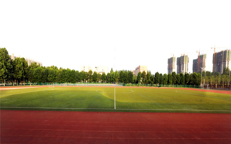 聊城職業(yè)技術(shù)學(xué)院電子商務(wù)專業(yè)在山東招生錄取分?jǐn)?shù)(綜合)：353分