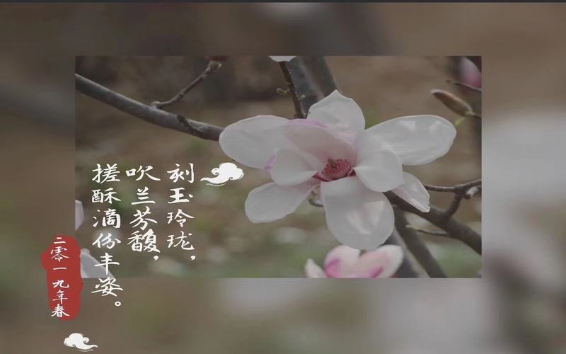 2023年西安財(cái)經(jīng)大學(xué)行知學(xué)院在貴州招生專(zhuān)業(yè)及招生人數(shù)匯總