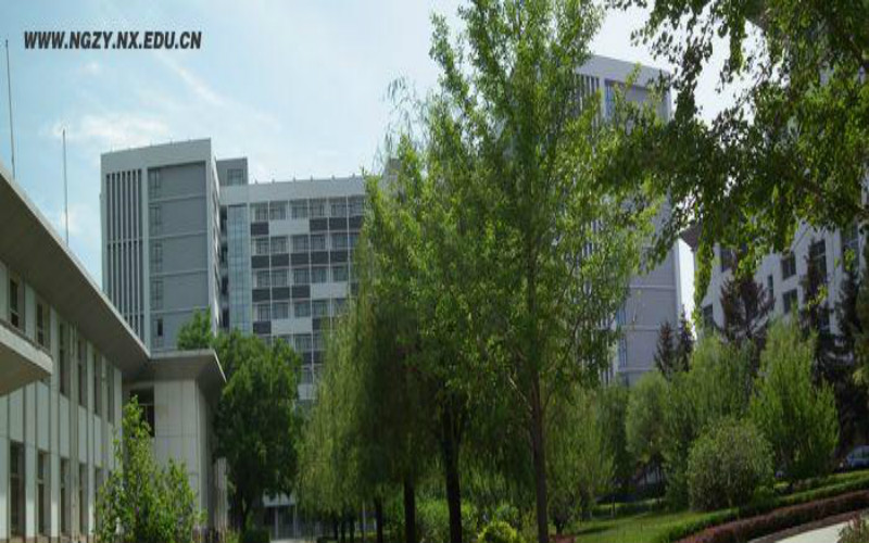 2024考生參考：2023寧夏工業(yè)職業(yè)學(xué)院應(yīng)用化工技術(shù)專(zhuān)業(yè)在內(nèi)蒙古招生錄取分?jǐn)?shù)及錄取位次