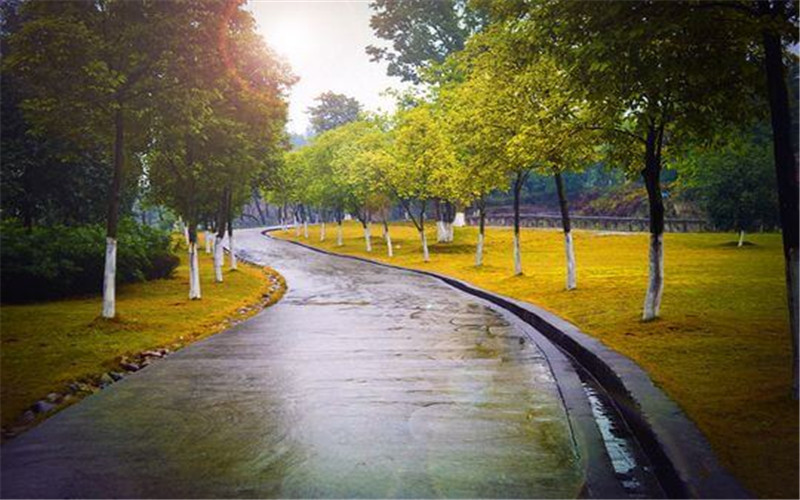 2023年內蒙古考生多少分可以上重慶大學工商管理類專業(yè)？