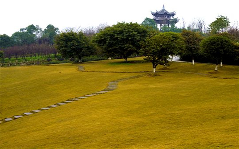 山東綜合考生排多少名可以上重慶大學(xué)經(jīng)濟(jì)學(xué)類專業(yè)?
