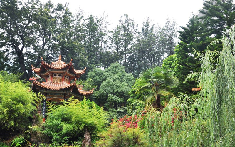 【2023高考參考】西昌學(xué)院2022年福建招生專業(yè)及招生計劃一覽表