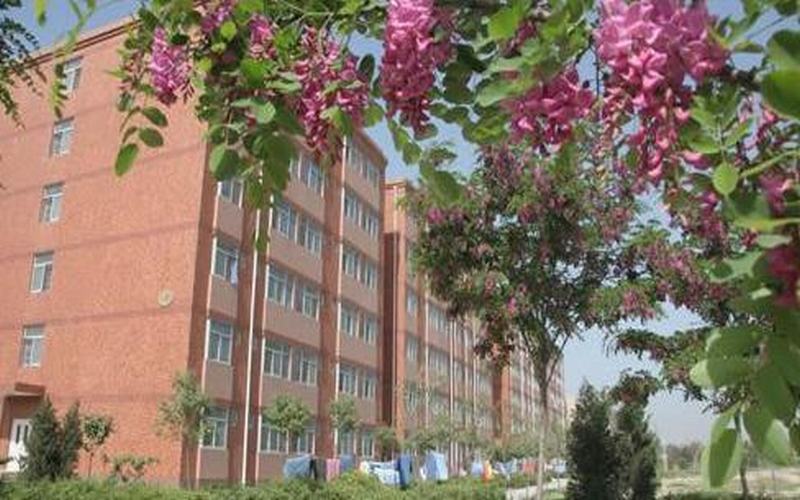 【2023高考參考】西北大學(xué)現(xiàn)代學(xué)院2022年陜西招生專業(yè)及招生計劃一覽表