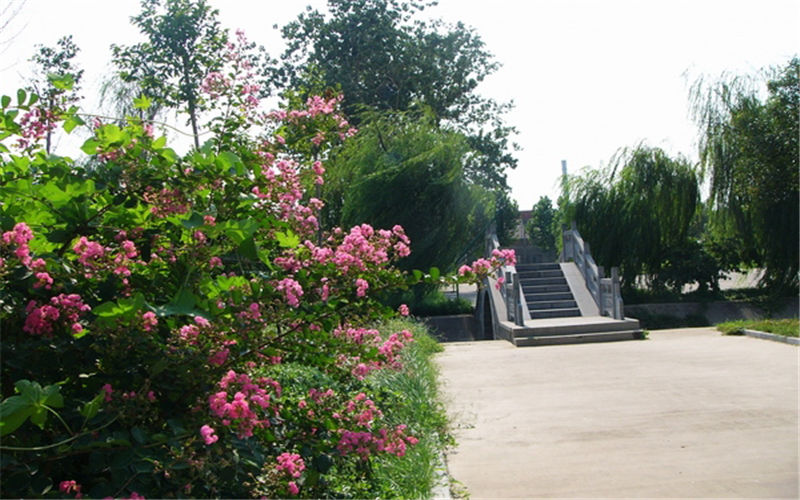徐州生物工程職業(yè)技術(shù)學(xué)院動(dòng)物醫(yī)學(xué)專業(yè)在浙江招生錄取分?jǐn)?shù)(綜合)：478分
