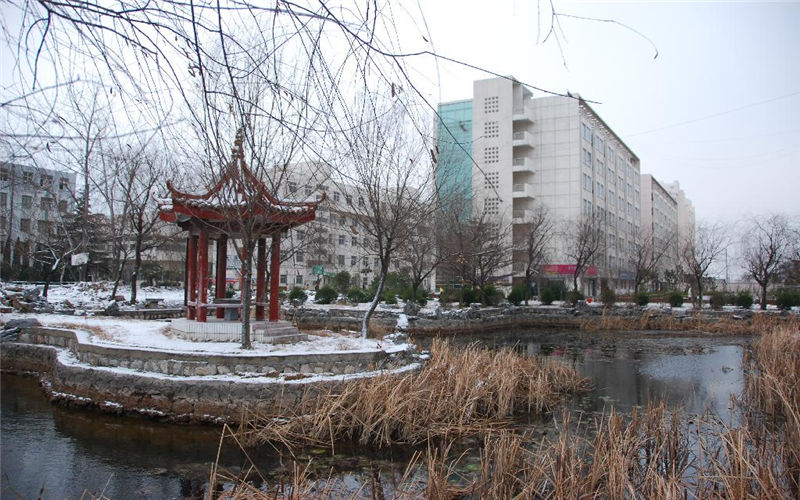 徐州醫(yī)科大學(xué)麻醉學(xué)專(zhuān)業(yè)錄取分?jǐn)?shù)線【山東高考綜合】