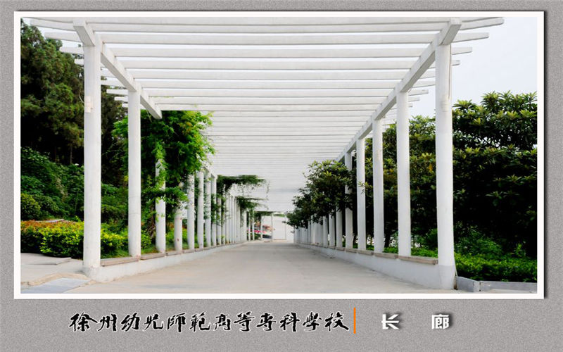 徐州幼兒師范高等?？茖W(xué)校智慧健康養(yǎng)老服務(wù)與管理專業(yè)錄取分?jǐn)?shù)線【廣西高考文科】