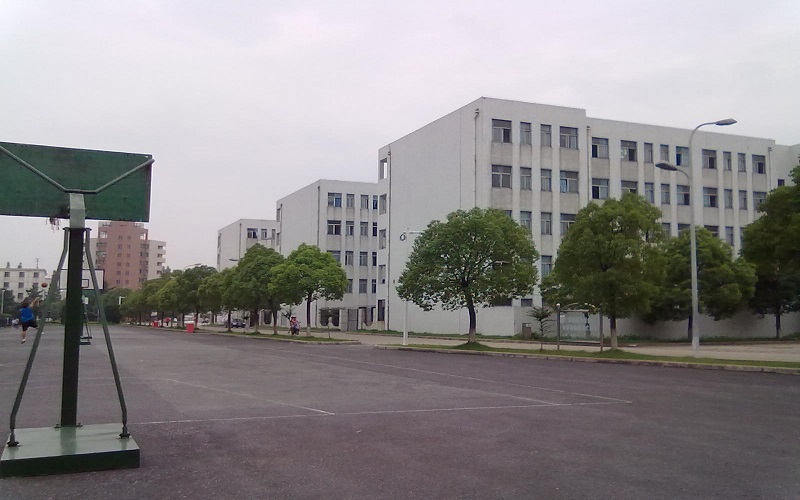 南通大學(xué)杏林學(xué)院英語專業(yè)錄取分數(shù)線【重慶高考歷史類】