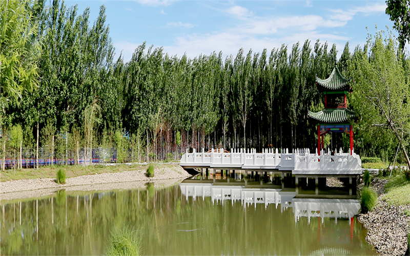 齊齊哈爾醫(yī)學(xué)院精神醫(yī)學(xué)專業(yè)錄取分?jǐn)?shù)線【河北高考物理類】