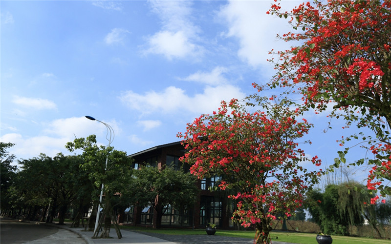 四川大學(xué)錦江學(xué)院行政管理專業(yè)在重慶招生錄取分?jǐn)?shù)(物理類)：457分