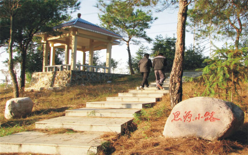 武漢職業(yè)技術(shù)學(xué)院財務(wù)會計類專業(yè)錄取分?jǐn)?shù)線【重慶高考?xì)v史類】