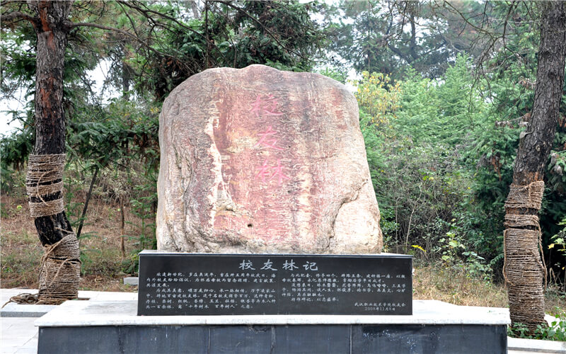 武漢職業(yè)技術學院電子信息類專業(yè)在河北招生錄取分數(shù)(物理類)：428分
