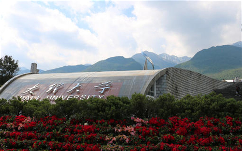 大理大學(xué)旅游管理類專業(yè)錄取分?jǐn)?shù)線【新疆高考文科】
