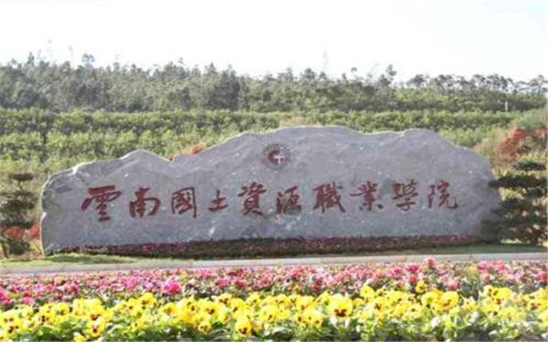 云南國(guó)土資源職業(yè)學(xué)院寶玉石鑒定與加工專業(yè)在山東招生錄取分?jǐn)?shù)(綜合)：376分