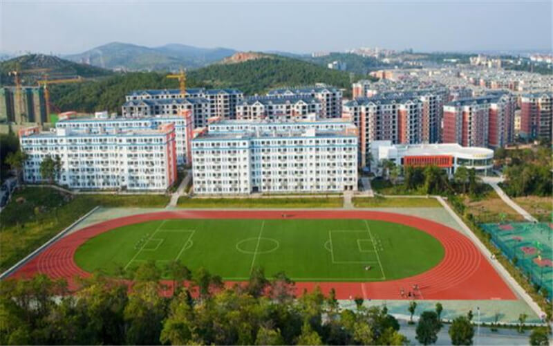 2024考生參考：2023荊楚理工學院化學工程與工藝專業(yè)在山東招生錄取分數(shù)及錄取位次