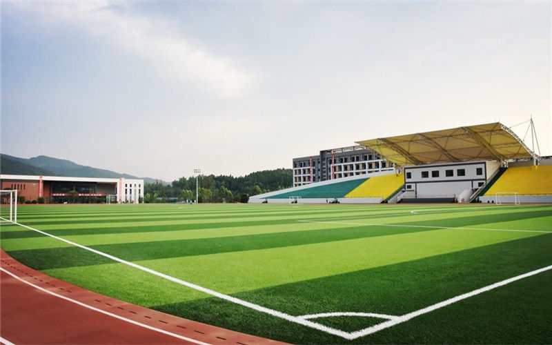 天府新區(qū)通用航空職業(yè)學院空中乘務(wù)專業(yè)錄取分數(shù)線【遼寧高考物理類】