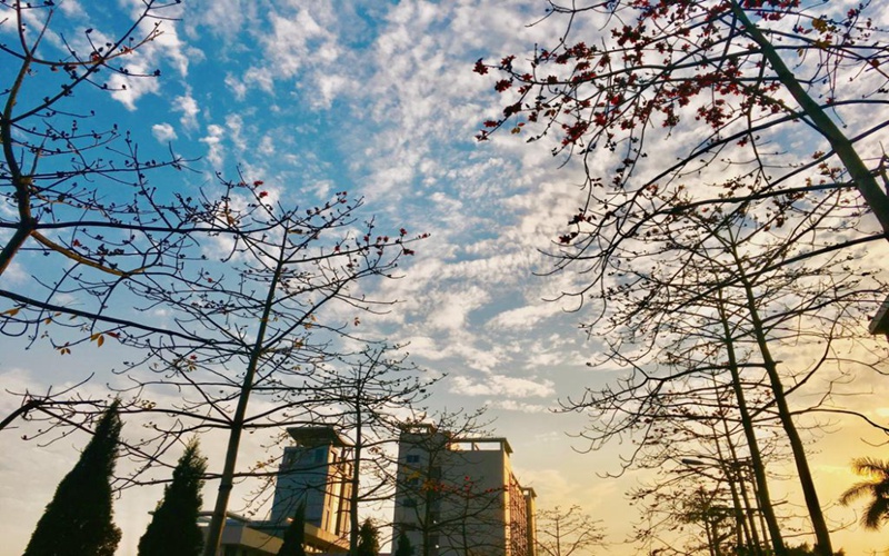 2023年揭陽職業(yè)技術(shù)學院在安徽錄取批次及錄取分數(shù)參考