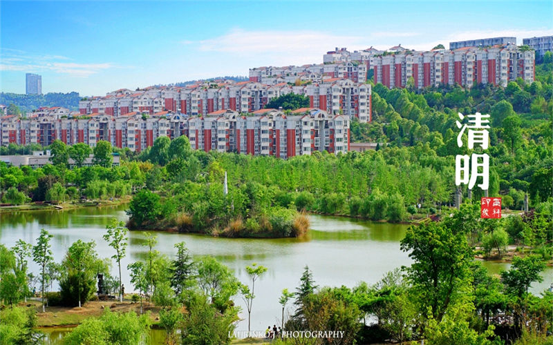 西南科技大學(xué)計(jì)算機(jī)類專業(yè)錄取分?jǐn)?shù)線【山西高考理科】