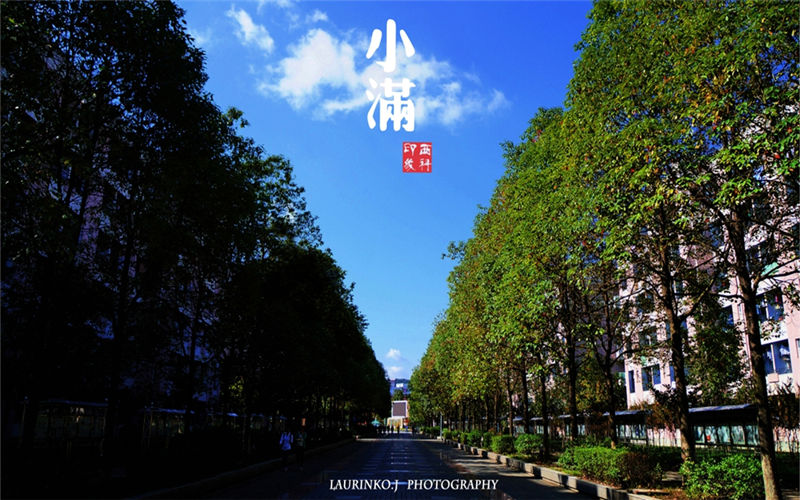 西南科技大學經(jīng)濟學專業(yè)錄取分數(shù)線【河北高考物理類】