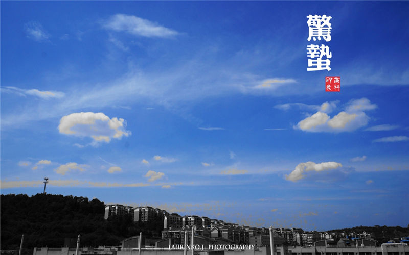 西南科技大學(xué)交通工程專業(yè)錄取分?jǐn)?shù)線【天津高考綜合】