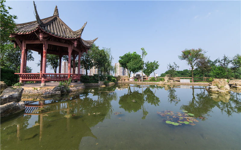 四川輕化工大學數(shù)學與應(yīng)用數(shù)學專業(yè)錄取分數(shù)線【內(nèi)蒙古高考理科】
