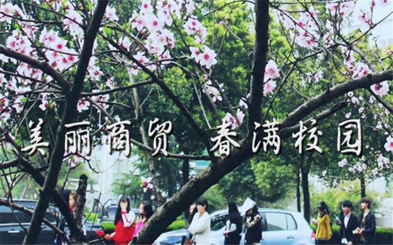 武漢商貿(mào)職業(yè)學(xué)院人工智能技術(shù)應(yīng)用專業(yè)在浙江招生錄取分?jǐn)?shù)(綜合)：417分