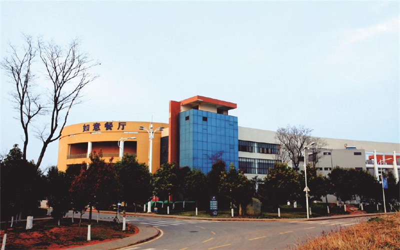 云南工貿(mào)職業(yè)技術(shù)學院軟件技術(shù)專業(yè)錄取分數(shù)線【云南高考文科】