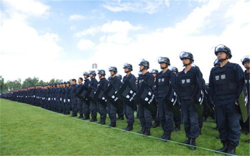 云南司法警官職業(yè)學(xué)院安全防范技術(shù)專業(yè)在重慶招生錄取分?jǐn)?shù)(物理類)：394分