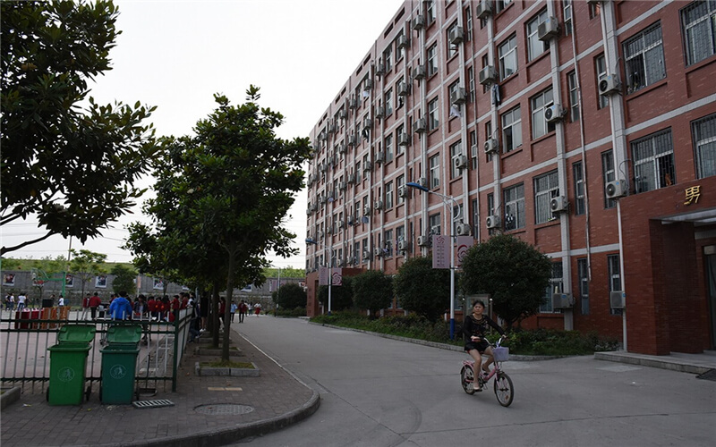 2023年長江藝術(shù)工程職業(yè)學(xué)院在貴州招生專業(yè)及招生人數(shù)匯總(2024考生參考)