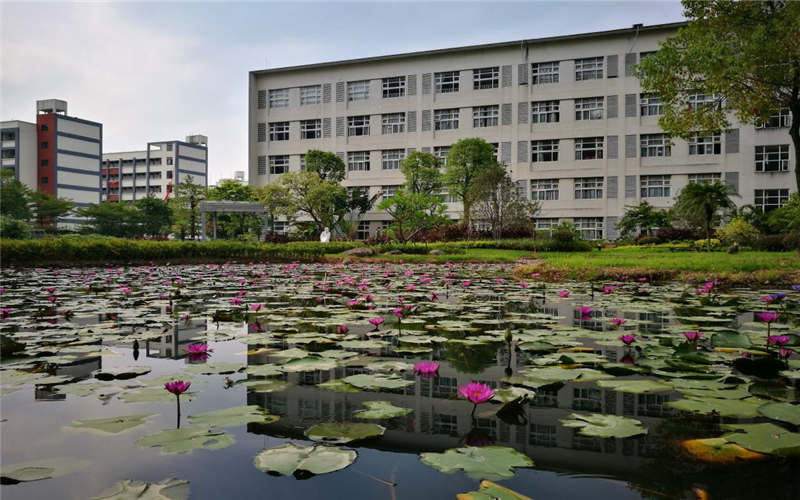 閩江師范高等專科學(xué)校導(dǎo)游專業(yè)錄取分數(shù)線【新疆高考文科】