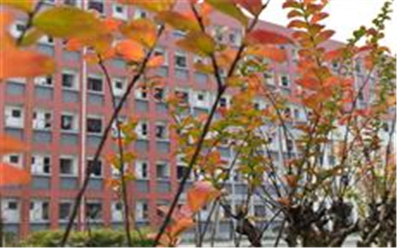 【2023高考參考】電子科技大學(xué)成都學(xué)院2022年遼寧招生專業(yè)及招生計(jì)劃一覽表