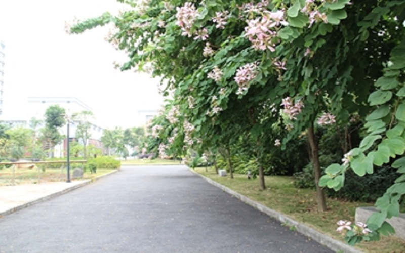 2023年閩江師范高等專科學校在湖南招生專業(yè)有哪些？學費是多少？