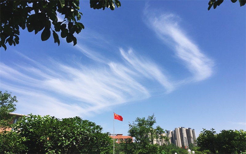 四川師范大學(xué)會(huì)計(jì)學(xué)專業(yè)錄取分?jǐn)?shù)線【山西高考理科】